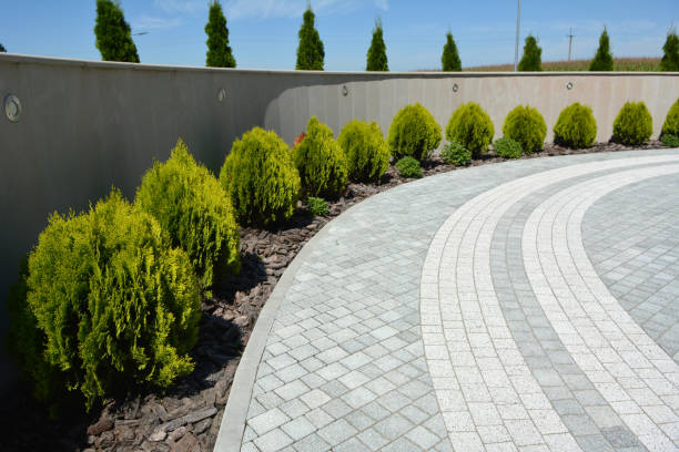 Best Affordable Driveway Paving  in Planada, CA